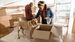 Jak přepravovat psa v autě: 8 tipů, které je třeba dodržovat